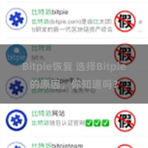 Bitpie恢复 选择Bitpie的原因，你知道吗？