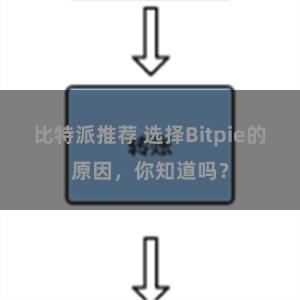 比特派推荐 选择Bitpie的原因，你知道吗？