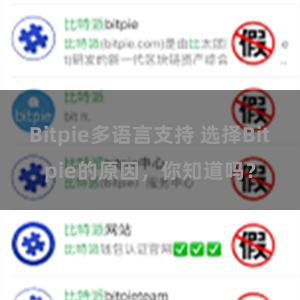 Bitpie多语言支持 选择Bitpie的原因，你知道吗？