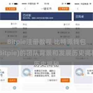 Bitpie注册教程 比特派钱包(Bitpie)的团队背景和发展历史揭秘